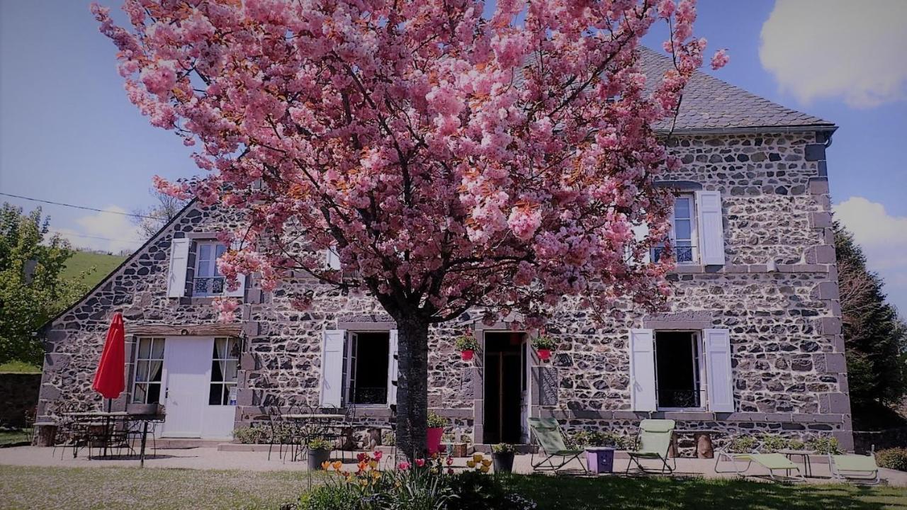 Maison D'Hotes La Nichee Rochefort-Montagne 外观 照片