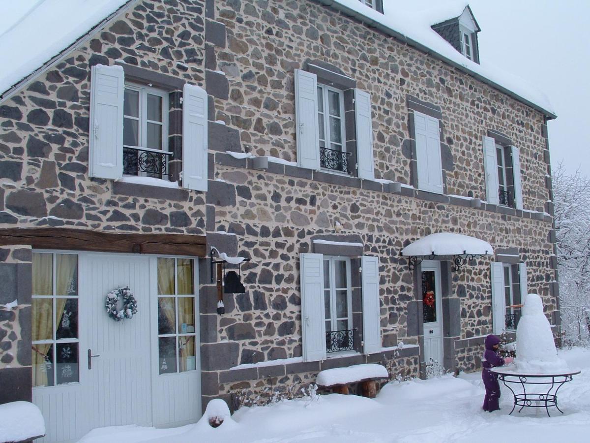 Maison D'Hotes La Nichee Rochefort-Montagne 外观 照片